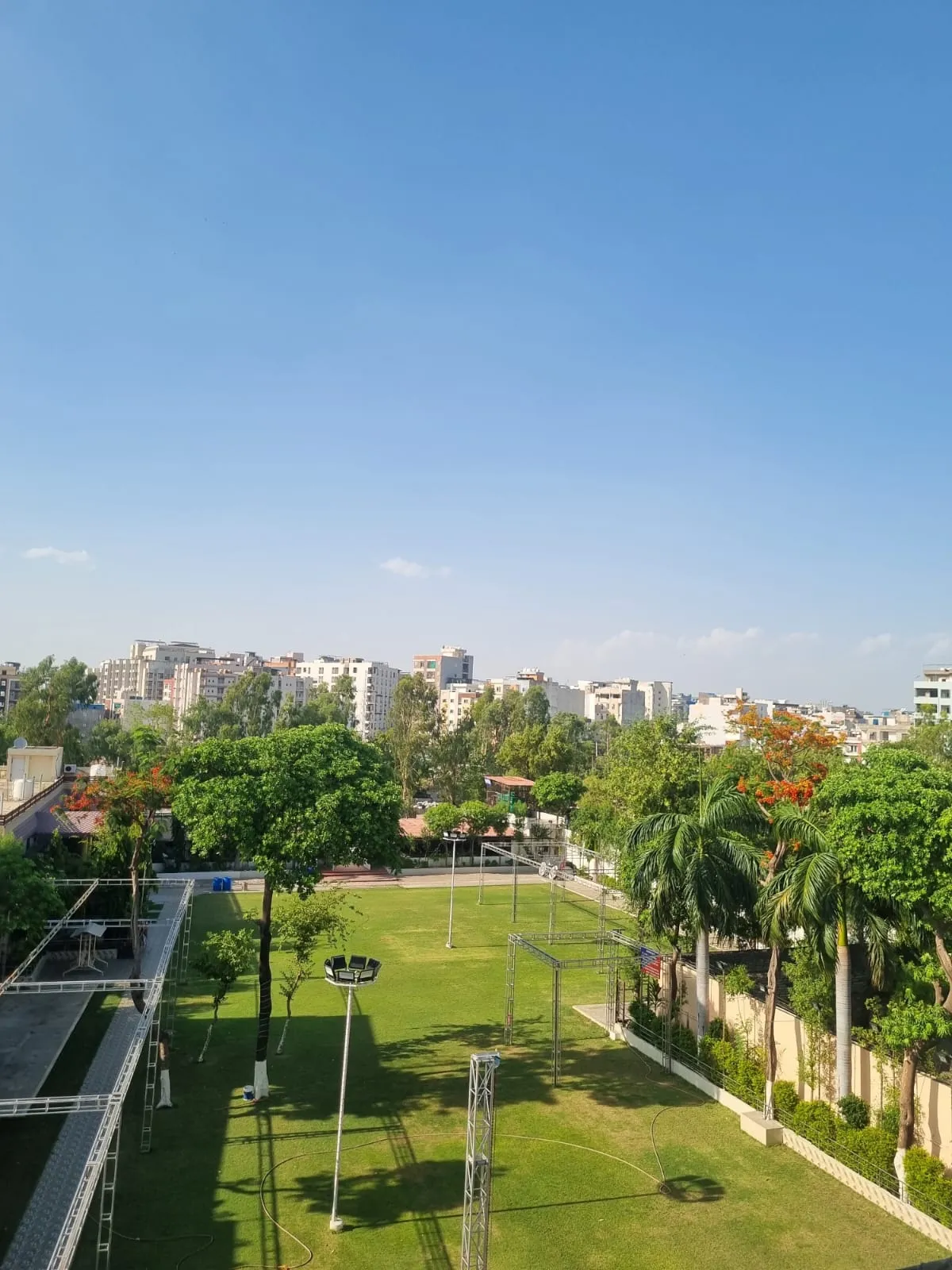 The 2-bigha lawn on a clear morning, with palms along the boundary wall.